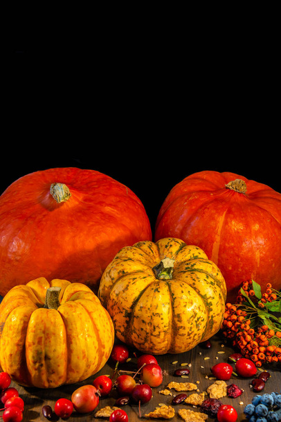 Традиционные немецкие осенние тыквы, ягоды и орехи как натюрморт, крупный план, детали, Осенняя тема
 - Фото, изображение