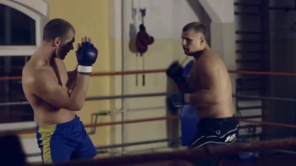 Two men sparring on ring - Materiał filmowy, wideo