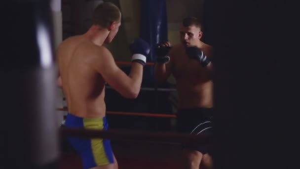 Two men sparring on ring - Кадры, видео