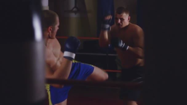 zwei Männer Sparring am Ring - Filmmaterial, Video