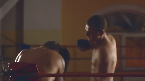Двое мужчин спаррингуют на ринге
 - Кадры, видео