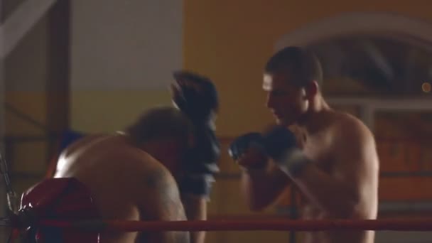 twee mannen sparring op ring - Video