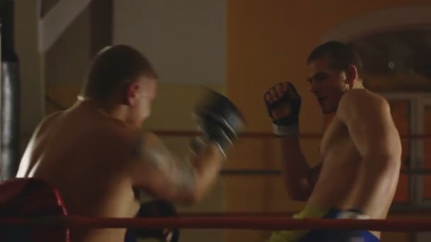 二人の男がリングにスパーリング - 映像、動画
