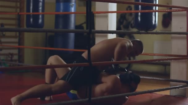 二人の男がリングにスパーリング - 映像、動画