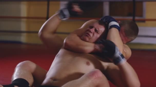 Two men sparring on ring - Metraje, vídeo
