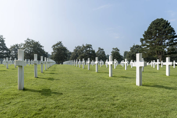 Normandy, Fransa için Amerikan Mezarlığı, mezar satırları - Fotoğraf, Görsel