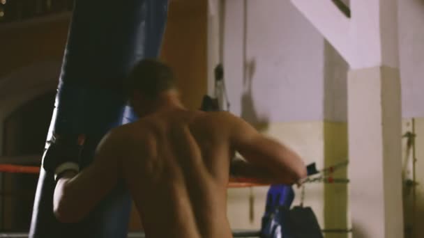mladý boxer vlaky na boxovací pytel - Záběry, video