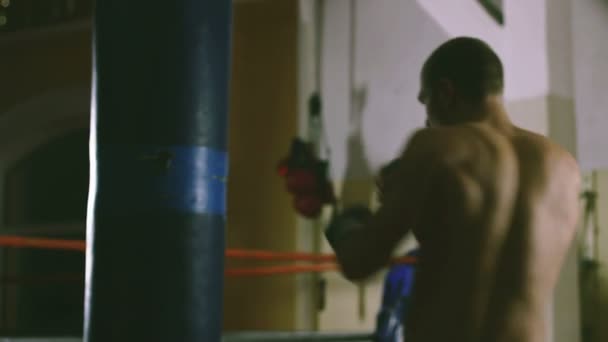 młody bokser pociągów na worek treningowy - Materiał filmowy, wideo