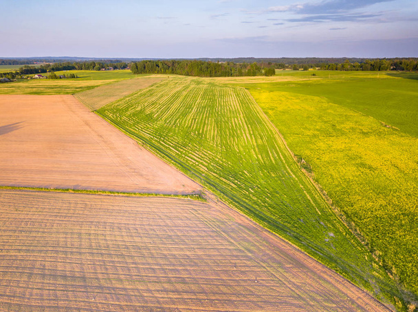 Drohne Foto der Straße zwischen Feldern in bunten Vorfrühling in ländlichen Dorf - umgeben von Löwenzahn - Foto, Bild