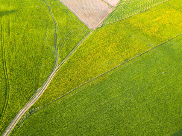 Фото беспилотника "Дорога между полями цветной ранней весной" в деревне Кантрисайд, окруженной одуванчиками. Вид сверху вниз
 - Фото, изображение
