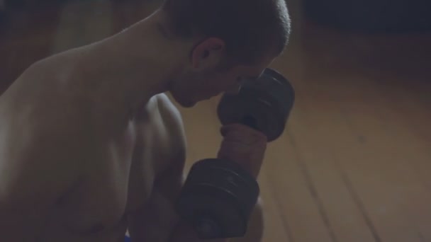 młody bokser z dumbbelss - Materiał filmowy, wideo