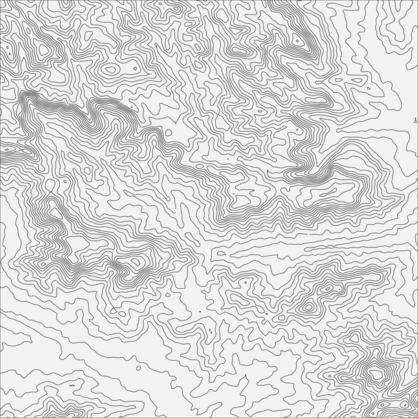 Topographic map background concept with space for your copy. Topo contour map background, vector illustration - Vector, Image