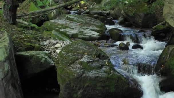 Горная река, протекающая по скалам и валунам в лесу
 - Кадры, видео