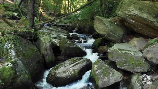 Horská řeka, která teče přes kameny a balvany v lese - Záběry, video