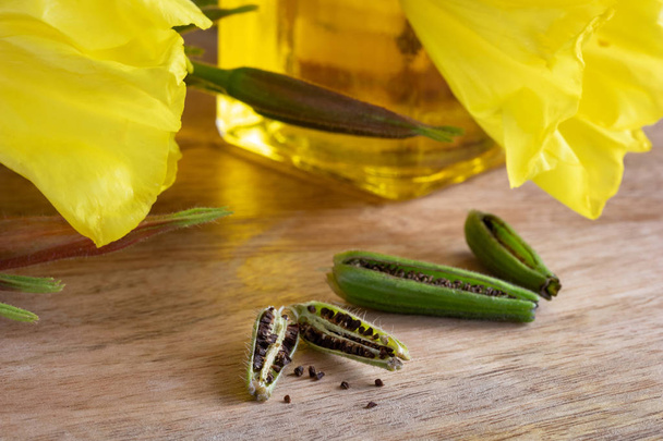 Evening primrose seeds, with fresh oenothera biennis flowers and oil in the background - Photo, Image