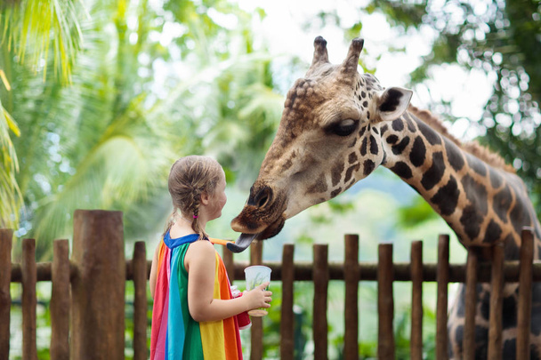 Familie giraf voederen in de dierentuin. Kinderen voeden giraffen in tropische Safaripark tijdens zomervakantie in Singapore. Kinderen kijken naar dieren. Meisje vruchten geven wild dier. - Foto, afbeelding