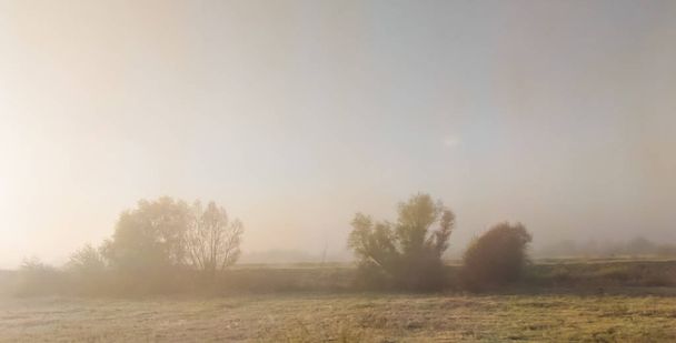 Feld am Morgen in der Herbstsaison - Foto, Bild