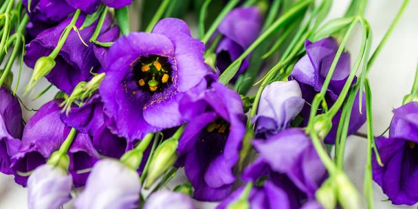 schöner Strauß lila Eustoma-Blüten, Lisianthus, heller Hintergrund - Foto, Bild