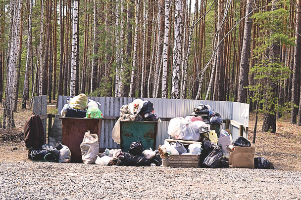 Podestýlku krabice plné odpadků v lese. Pojetí problematiky ekologie. Tónovaný - Fotografie, Obrázek