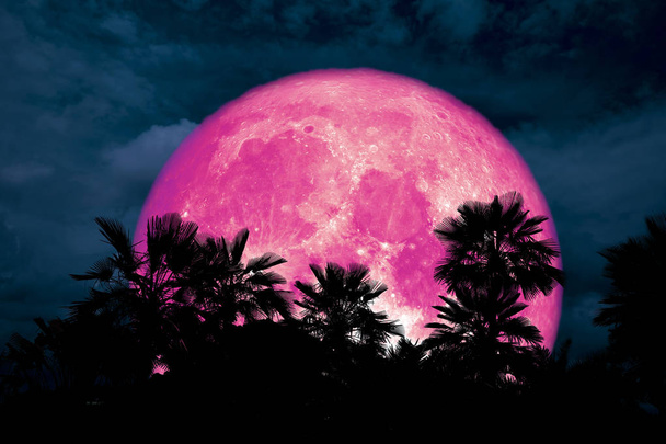 super pink moon back silhouette palm in dark night cloud, Elements of this image furnished by NASA - Photo, Image