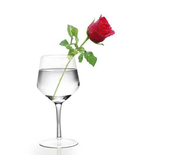 rose in the wine glass - Foto, afbeelding