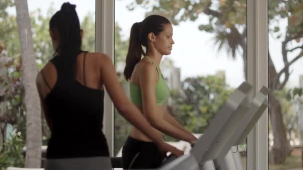 Junge Frauen trainieren und laufen auf Laufband im Fitnessclub - Filmmaterial, Video