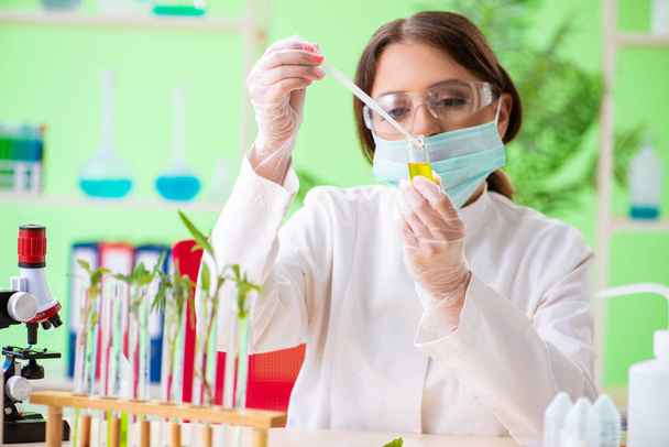 Belle femme scientifique en biotechnologie chimiste travaillant en laboratoire - Photo, image