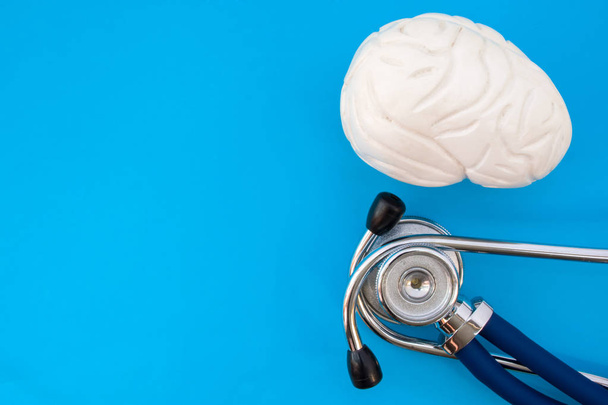 Anatomisches Studienmodell des Gehirns und Stethoskops auf blauem Hintergrund nehmen die Hälfte des Fotos ein, in der zweiten Hälfte - leerer Raum für Titel. medizinisches Konzeptfoto für den Einsatz in der Neurologie, Psychiatrie, psychischen Gesundheit - Foto, Bild