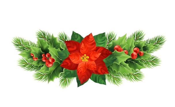 クリスマス ポインセチア花現実的なベクトル イラスト - ベクター画像