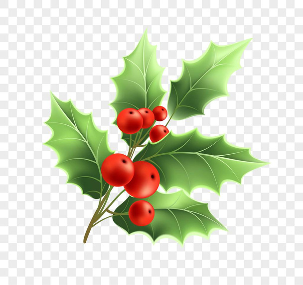 Christmas holly twig realistic illustration - Vector, Image