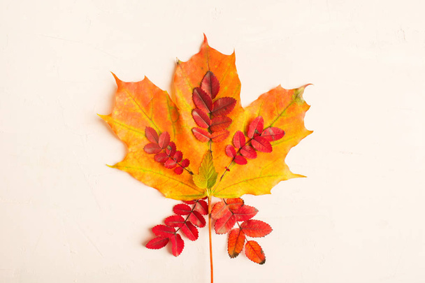 Autumn composition. Fall leaves texture design on pastel pink background, flat aly style - 写真・画像
