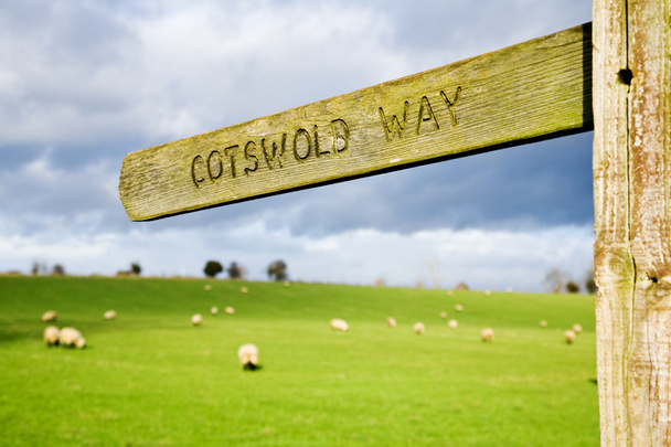 El camino Cotswold
 - Foto, Imagen