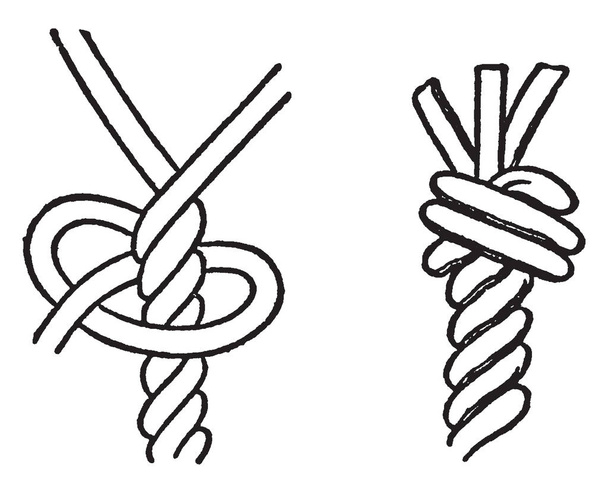 Мэттью Уокер - это первая нитка вокруг веревки и через свою собственную линию, рисунок винтажной линии или гравировку
. - Вектор,изображение