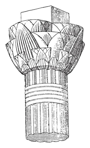 Tenda di un tempio sull'isola di Philae, illustrazione incisa d'epoca
 - Vettoriali, immagini