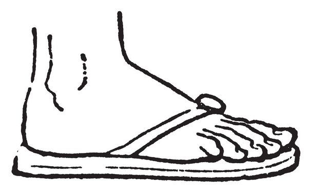 Сандал, як правило, єдиною приховати і пов'язані на нозі ремені, vintage штриховий малюнок або ілюстрація гравіювання. - Вектор, зображення