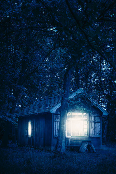 Kabina w lesie w nocy. - Zdjęcie, obraz