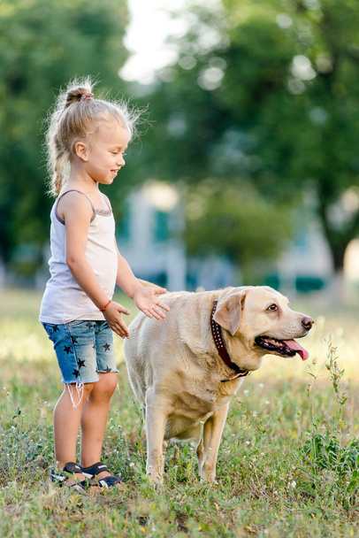 Little girl is playing with labrador in summer park. - Valokuva, kuva