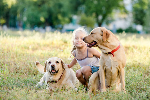 Blond dziewczynka bawi dwa labradory w lato park. - Zdjęcie, obraz