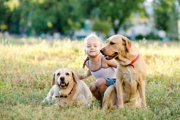 Blond dziewczynka bawi dwa labradory w lato park. - Zdjęcie, obraz