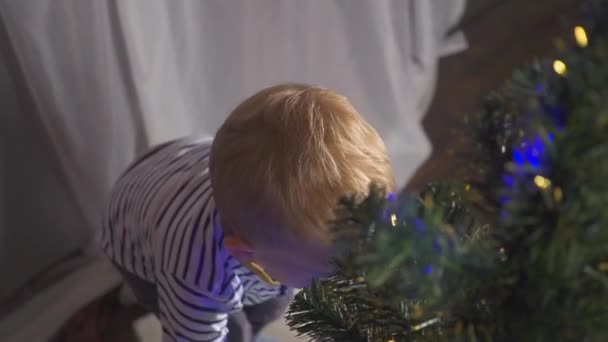 two year old boy playing with Christmas toys on Christmas tree, close up. Portrait of a child near a Christmas tree. - Filmati, video