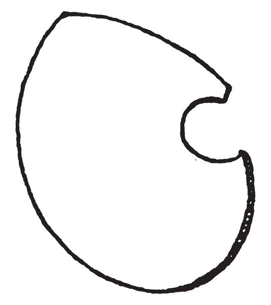 Tilting Shield deve ser distinguido na heráldica moderna, desenho de linha vintage ou gravura ilustração
. - Vetor, Imagem
