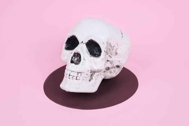 Skull on trendy pastel pink background. - 写真・画像