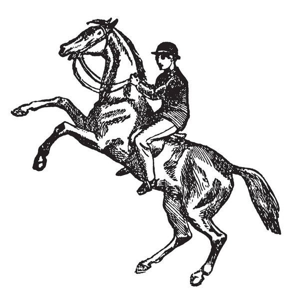 Człowiek jest szkolenie konia dla koni, jazda konna, rysowanie linii vintage lub Grawerowanie ilustracja. - Wektor, obraz