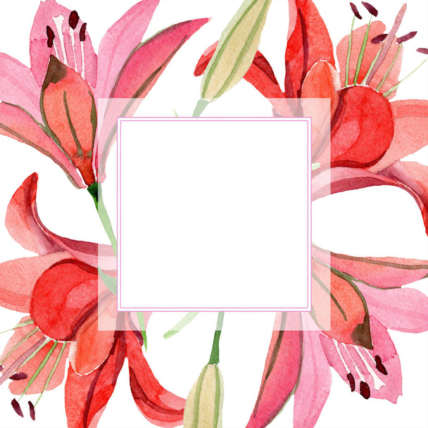 水彩の赤いユリの花。花植物の花。フレーム枠飾りスクエア。背景、テクスチャ、ラッパー パターン、フレームや境界線の aquarelle ワイルドフラワー. - 写真・画像