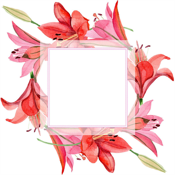 Watercolor red lily flower. Floral botanical flower. Frame border ornament square. Aquarelle wildflower for background, texture, wrapper pattern, frame or border. - 写真・画像