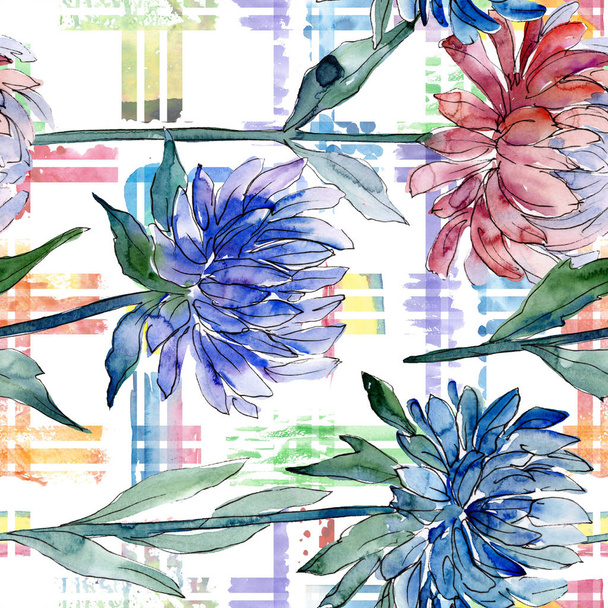Watercolor colorful aster flower. Floral botanical flower. Seamless background pattern. Fabric wallpaper print texture. Aquarelle wildflower for background, texture, wrapper pattern, frame or border. - Фото, изображение