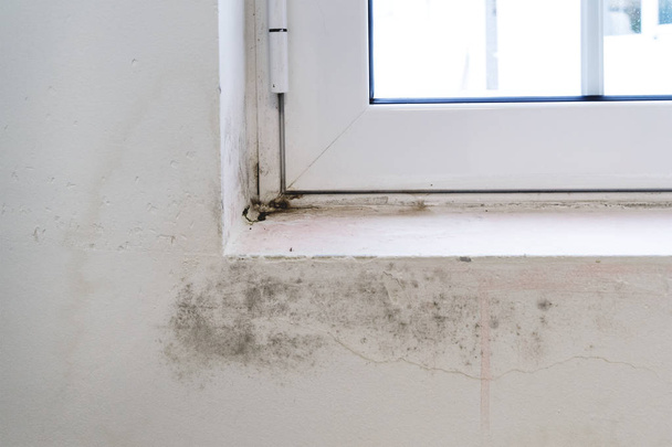 Μαύρη μούχλα στο λευκό παράθυρο περβάζι και τοίχο. Ανεπαρκή αερισμό, υγρασία, μύκητες αιτία συμπύκνωση στους τοίχους - Φωτογραφία, εικόνα