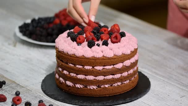 Cukrář zdobí čokoládový dort s ovocem. - Záběry, video