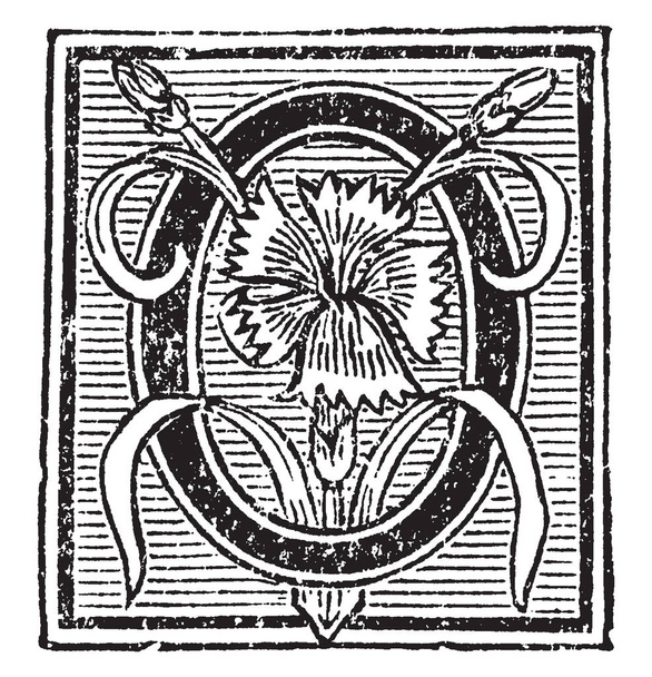 Ένα διακοσμητικό κεφαλαίο γράμμα O με λουλούδια και γραμμές, εκλεκτής ποιότητας γραμμικό σχέδιο ή απεικόνιση χαρακτική - Διάνυσμα, εικόνα