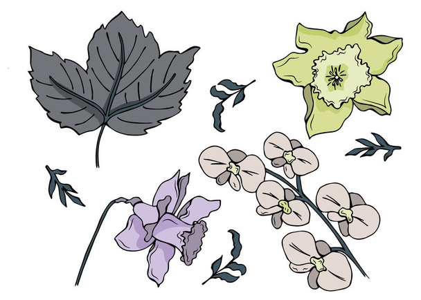 Set of design flowers for your needs in vector. Very colorful and cute - Vector, Image